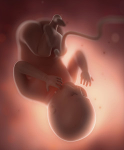 Derfor fravælger flere handicappede børn