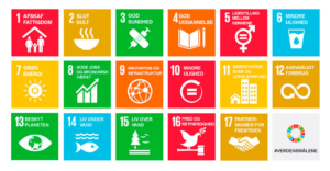 Har din virksomhed styr på de 17 verdensmål?