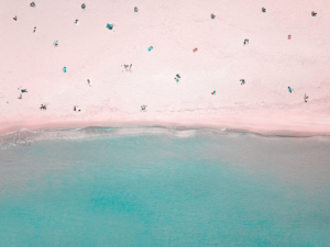 Fremtidens superhygiejniske samfund